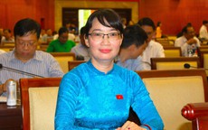 Phó Chủ tịch UBND TPHCM Trần Thị Diệu Thúy nhận thêm nhiệm vụ