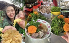 Trend “Ăn hoa như ăn rau” tiềm ẩn rủi ro