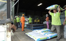 Căng thẳng Trung Đông kéo dài, giá thức ăn chăn nuôi có thể tăng 10%