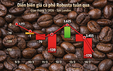 Giá cà phê hôm nay 14-3: Rớt mạnh khi người Mỹ thay đổi thói quen