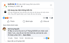 Facebook ông Hoàng Hoa Trung biến mất, dự án "Nuôi em" lại "nóng" 