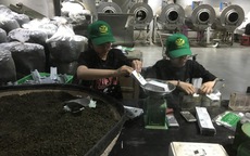 Một lần tới thăm bảo tàng trà ở phố ngàn hoa