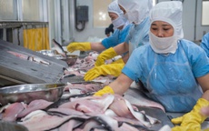 Nỗ lực đưa xuất khẩu vượt qua thách thức