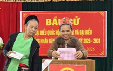 Nghệ An bầu đủ 85 đại biểu HĐND tỉnh, bầu 2.910/2.911 đại biểu HĐND cấp xã