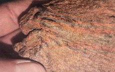 Nhờ bạn thẩm định trầm hương, người đàn ông ở Gia Lai "chết lặng"