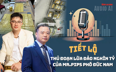 Audio: Shark Bình dùng Ngân Lượng rửa tiền cho đường dây lừa đảo của Mr Pips như nào?