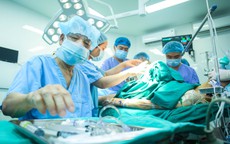 Lần đầu Việt Nam ghép tạng domino: Người nhận gan hiến lại, cứu thêm bệnh nhân