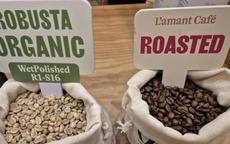 Giá cà phê hôm nay 2-3: Vua xuất khẩu cà phê lý giải diễn biến lạ