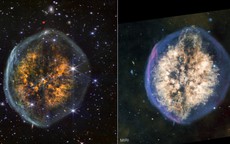 "Bộ não của vũ trụ" lộ diện