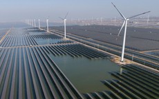 Cú sốc năng lượng và lời cảnh tỉnh toàn cầu