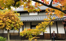 Bình yên Đông Kinh