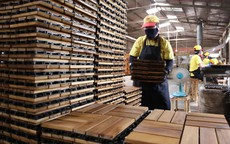 Hành trình đưa hàng Việt chinh phục thế giới