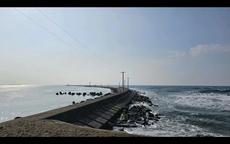 8 người Việt gặp nạn tại Nhật Bản, 1 người tử vong, 3 người mất tích