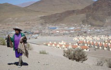 Người dân một thị trấn trên dãy Andes đã tiến hóa kỳ lạ