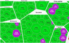 Chứng khoán tăng hơn 43 điểm, nhiều nhà đầu tư "đứng ngoài quan sát"