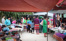 Local Vietnam khai trương Ha Giang Aya Lodge tại Bản Sủng Trái 