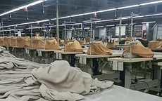 Bị nợ lương từ 6 tháng, người lao động có quyền yêu cầu áp dụng thủ tục phá sản doanh nghiệp