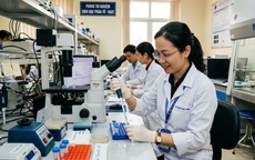 Đối tượng nào được ký hợp đồng lao động trong đơn vị sự nghiệp công lập?