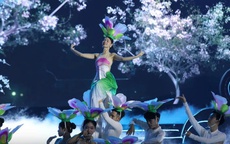 Nhiều hoạt động hấp dẫn tại Lễ hội Hoa ban 2026