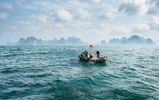 Tàu cá cùng 2 ngư dân bỗng dưng mất tích trên biển Sơn Trà