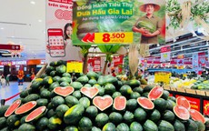 Dưa hấu Gia Lai bán tại ruộng chỉ 5.000 - 6.000 đồng/kg