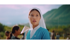 Sức hút phim Việt