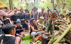 Độc đáo Lễ cúng rừng thu hút hàng ngàn người ở Gia Lai