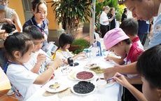 Tiếng Pháp là ngoại ngữ được học nhiều thứ hai tại Việt Nam