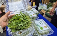 Bất ngờ về loại rau 350.000 đồng/kg vẫn được người ở TP HCM xem là “rẻ”