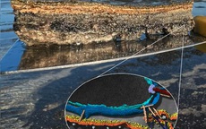 "Tổ tiên vĩ đại” của chúng ta được hé lộ ở vịnh Cá Mập