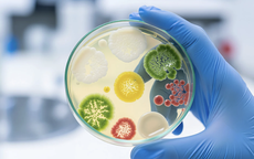 Đang ngồi học, bé 11 tuổi co giật, ngất xỉu do hậu nhiễm liên cầu khuẩn