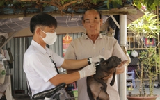 Chó mẹ tấn công nhiều người và cắn chết đàn chó con vừa sinh