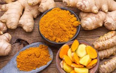 Mỹ phát hiện công dụng y khoa mới của nghệ và gừng