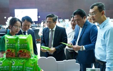 Đà Nẵng thúc đẩy chuyển đổi xanh, hướng tới đô thị sinh thái, thông minh