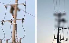 Bàng hoàng phát hiện thi thể nam sinh treo trên cột điện trung thế