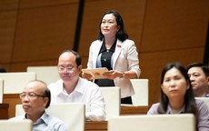 ĐB Trần Thị Hoa Ry: Phân cấp cho cấp dưới nhưng cấp trên vẫn quyết định; việc quá tải ở cấp cơ sở