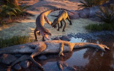 Sinh vật lạ lộ diện sau 210 triệu năm vùi ở Trang Trại Ma