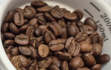 Giá cà phê hôm nay 24-4: Đồng loạt tăng 3 con số