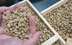 Giá cà phê hôm nay 25-4: Giảm nhẹ, một thương hiệu cà phê Việt mở chuỗi tại châu Âu