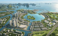 Chuẩn sống đẳng cấp giữa lòng di sản cùng phân khu biệt thự Vinhomes Hạ Long Xanh