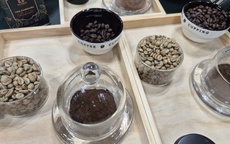 Giá cà phê hôm nay, 30-4, giảm nhẹ; Starbucks có gần 8.000 cửa hàng tại Trung Quốc