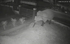 VIDEO: Voi rừng "đi dạo" trên quốc lộ, phá rào vào trường học