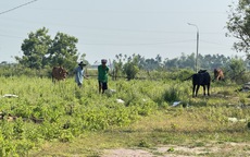 Dự án khu dân cư 186 tỉ "mắc cạn" bên sông Vệ gần chục năm