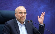 Chủ tịch Quốc hội Iran chế giễu Mỹ