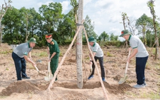 Cà Mau phát động Tết trồng cây "Đời đời nhớ ơn Bác Hồ", mục tiêu trồng mới hơn 1 triệu cây xanh