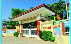 Học sinh lớp 1 nghi bị bạo lực học đường, nhà trường chuyển lớp gây tranh cãi