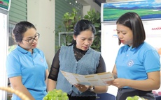 Đóng BHXH 31 năm, khi nào được nghỉ hưu trước tuổi?
