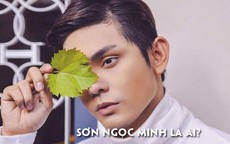 Sơn Ngọc Minh và chuỗi ồn ào