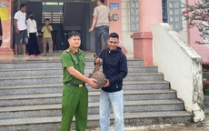 Người dân giao nộp chim diều hoa Miến Điện, tê tê Java quý hiếm