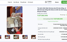 Túi Hermes bà Trương Mỹ Lan từng nói "giá trị không đáng bao nhiêu", đấu giá thu về hơn 14 tỉ đồng